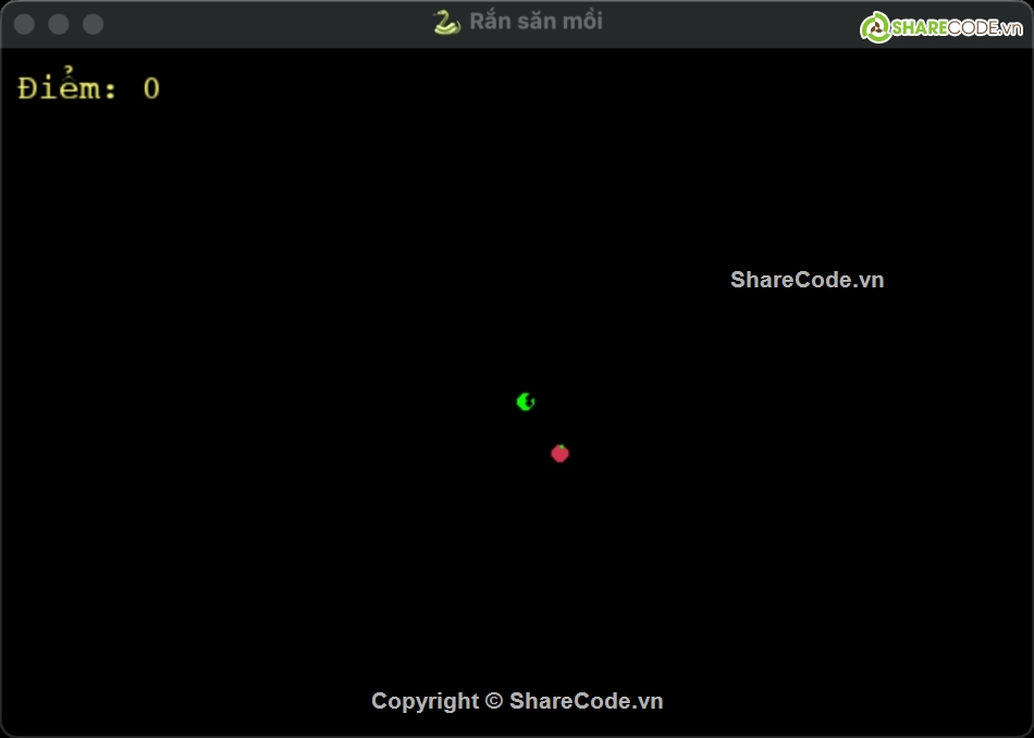 game,Game Modern Snake,source code,game python